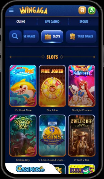 Bezpečnost v online kasinech: Jak to vidí IVCRN?